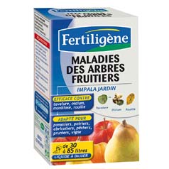 Maladies arbres fruitiers